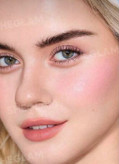 رژگونه استیکی PH (اورجینال)