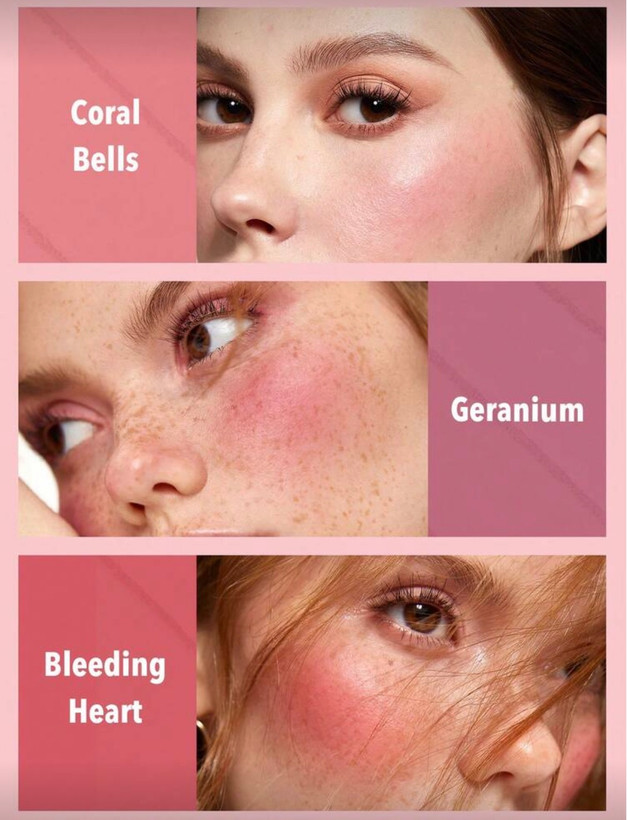 پالت رژگونه ۶ عددی ( اورجینال)